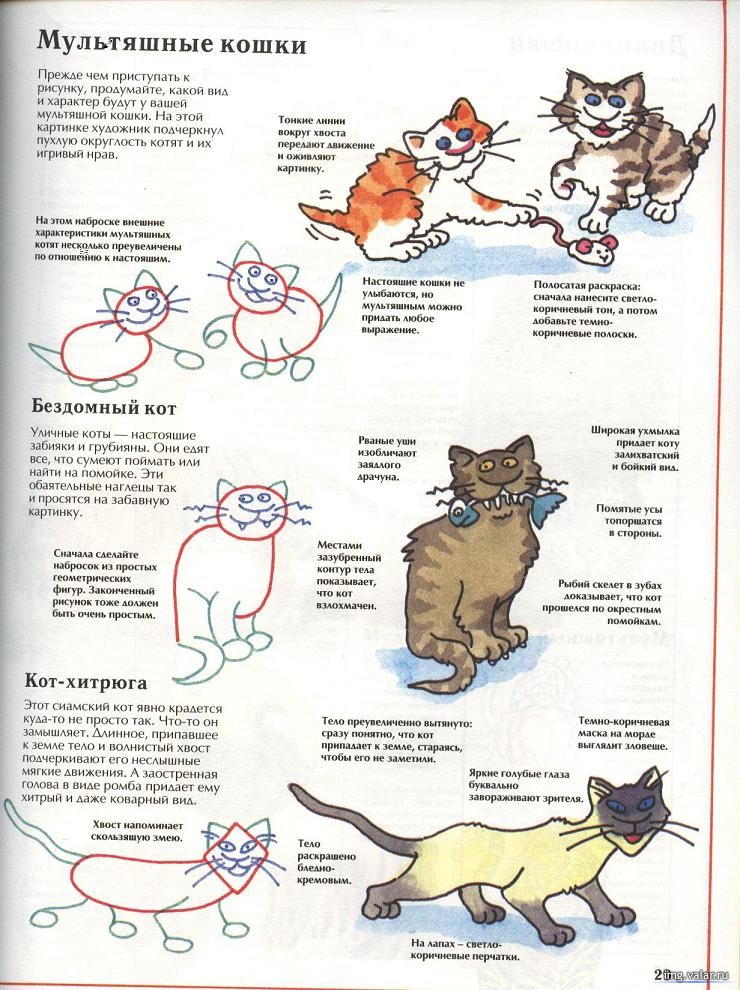 Руководство, как нарисовать кошку 2