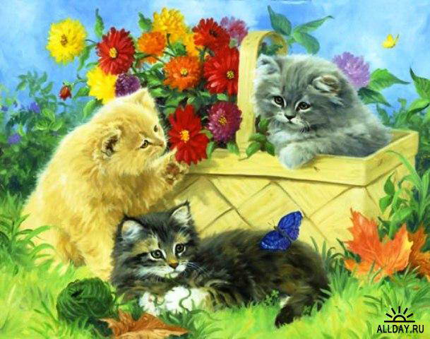 Картинки котят в корзинке