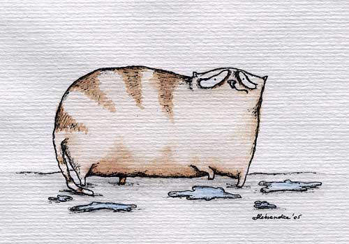 Рисунки кошек от Александра Соло 14