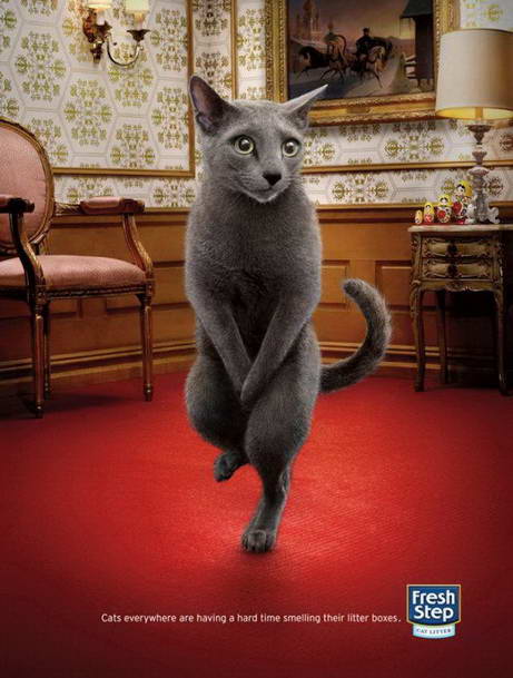 Картинка прикольная реклама кошачьего наполнителя 3